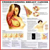 Cancer Charts